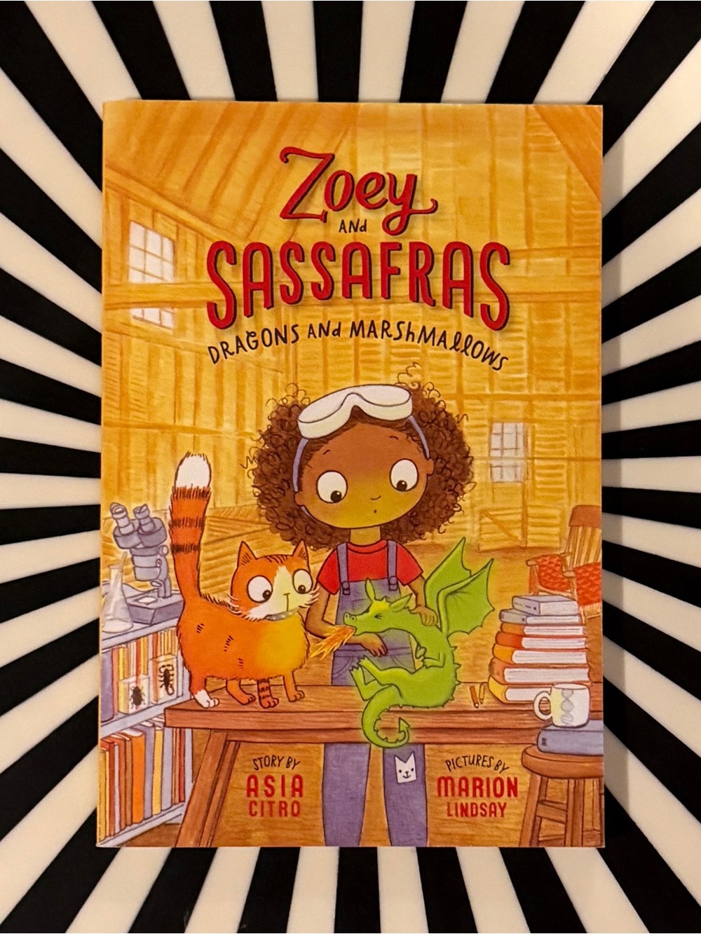 Zoey and Sassafras Dragons and Marshmallows — Yellow Cover Children's Book